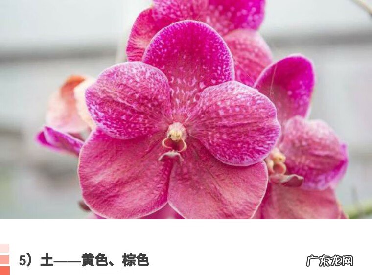 别墅院子风水知识大全 房屋和院子里的风水怎么看