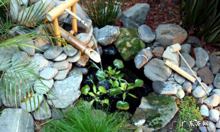 别墅院子风水知识大全 房屋和院子里的风水怎么看