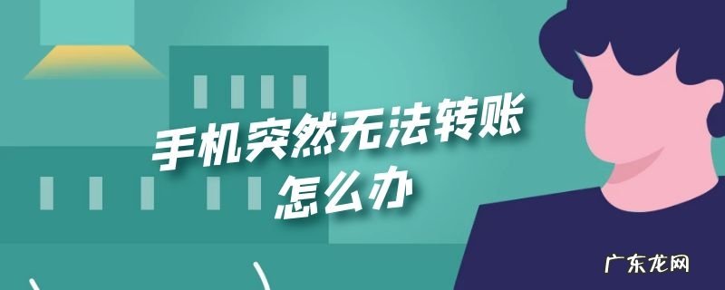 手机突然无法转账怎么办