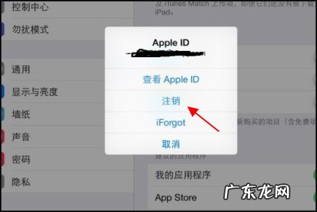 二手ipad注册不了新的id