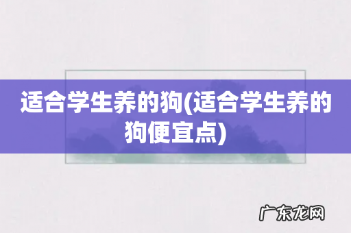 适合学生养的狗便宜点 适合学生养的狗