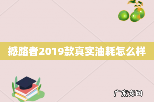 撼路者2019款真实油耗怎么样