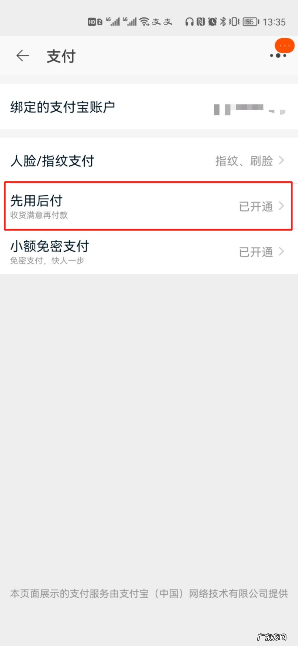 先用后付额度怎么看
