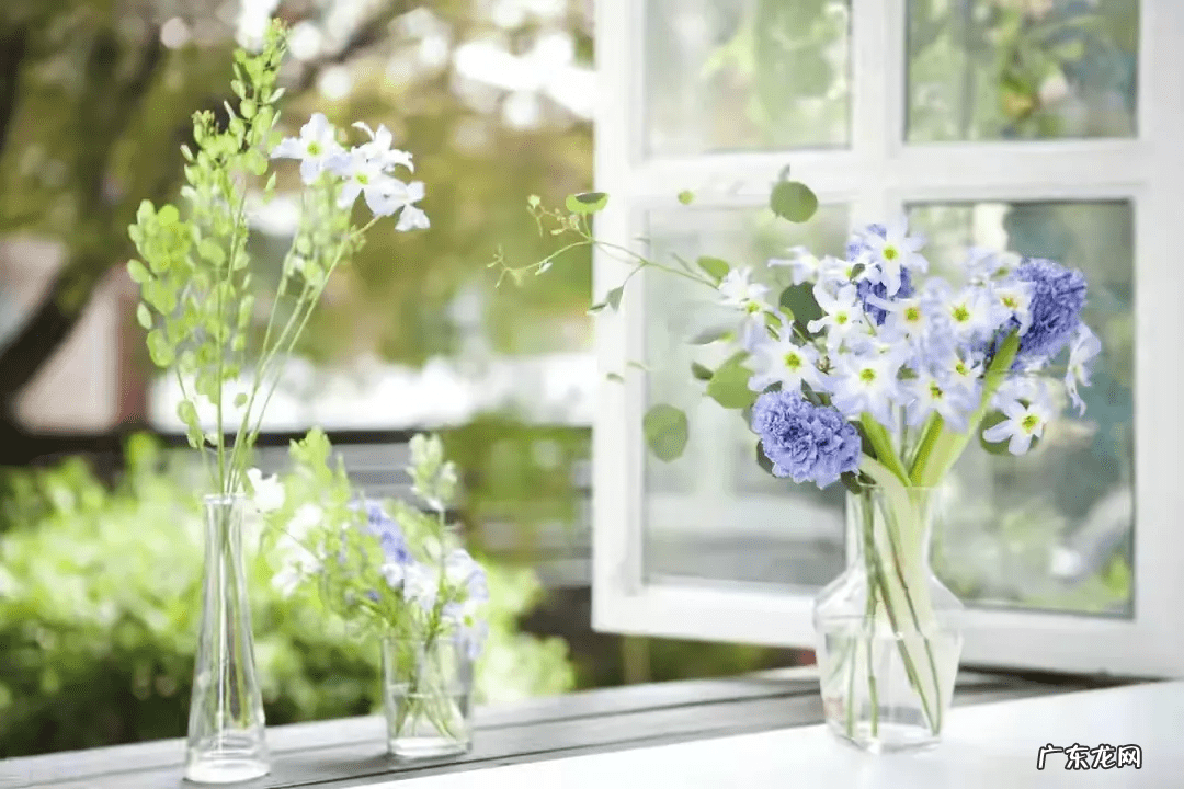 养老院附近的房子风水 家住养老院附近好吗