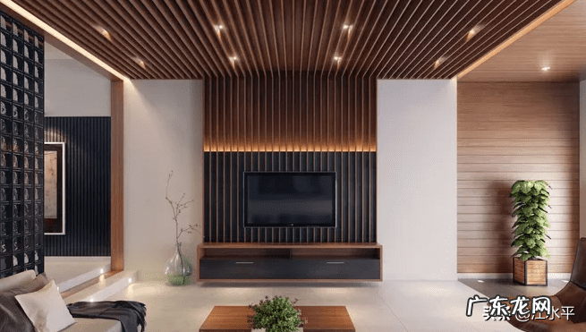 电视墙用什么花寓意好 电视墙装什么风水好