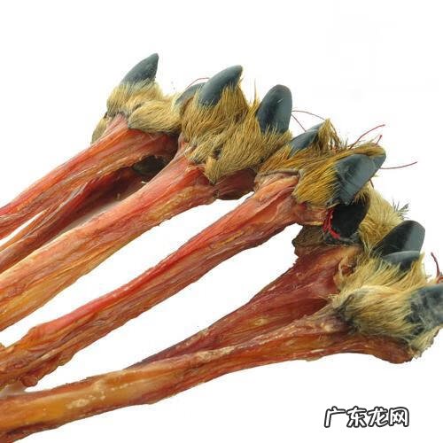 鹿筋功效及用法 鹿筋的功效与主治