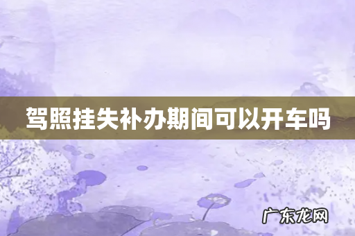 驾照挂失补办期间可以开车吗