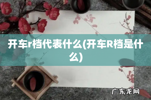 开车R档是什么 开车r档代表什么