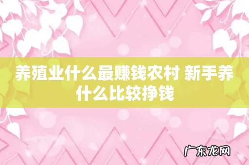 养殖业什么最赚钱农村 新手养什么比较挣钱
