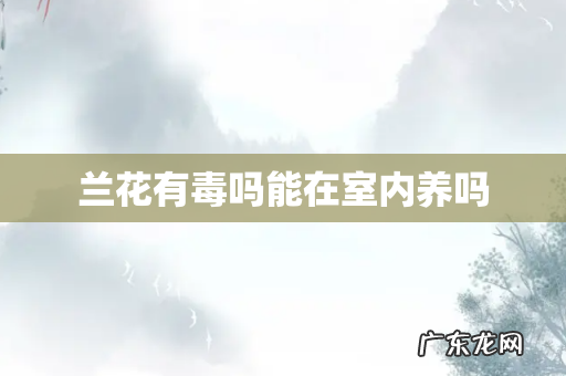 兰花有毒吗能在室内养吗