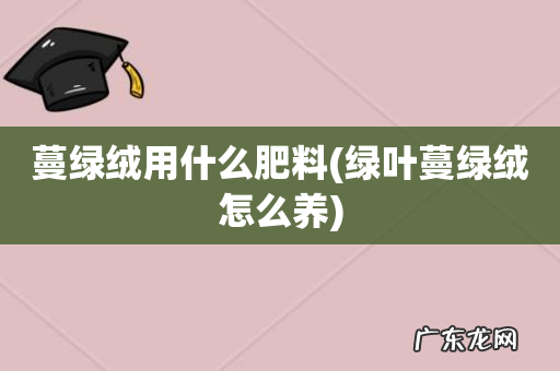 绿叶蔓绿绒怎么养 蔓绿绒用什么肥料