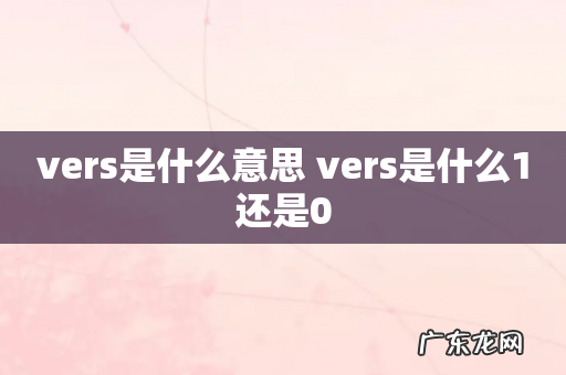 vers是什么意思 vers是什么1还是0