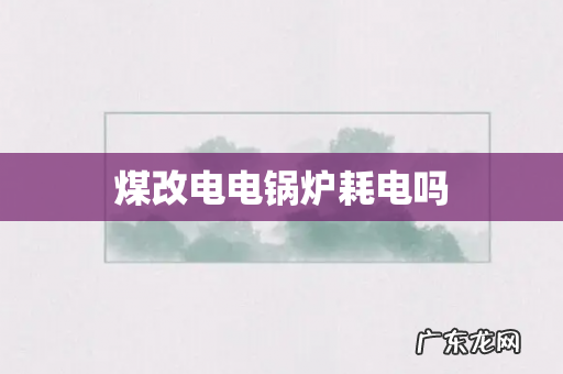 煤改电电锅炉耗电吗