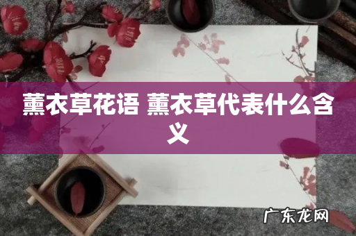 薰衣草花语 薰衣草代表什么含义