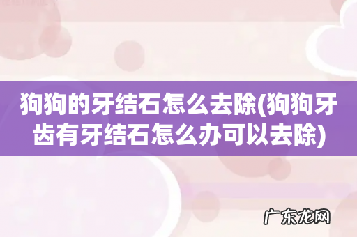 狗狗牙齿有牙结石怎么办可以去除 狗狗的牙结石怎么去除