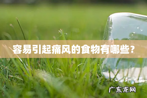 容易引起痛风的食物有哪些？