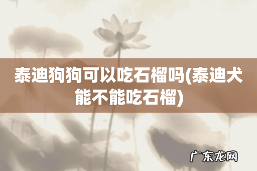 泰迪犬能不能吃石榴 泰迪狗狗可以吃石榴吗