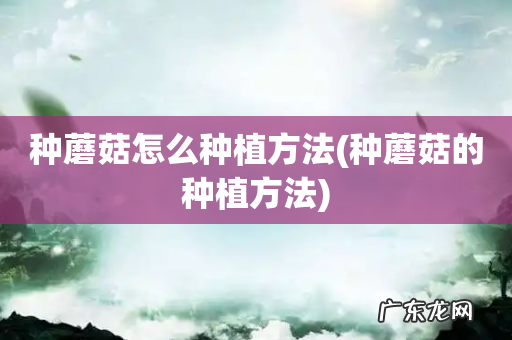 种蘑菇的种植方法 种蘑菇怎么种植方法