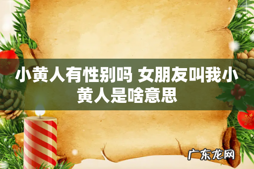 小黄人有性别吗 女朋友叫我小黄人是啥意思