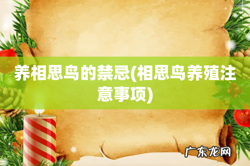 相思鸟养殖注意事项 养相思鸟的禁忌
