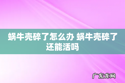 蜗牛壳碎了怎么办 蜗牛壳碎了还能活吗
