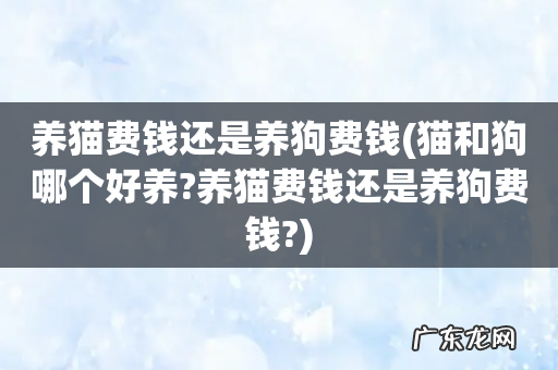 猫和狗哪个好养?养猫费钱还是养狗费钱? 养猫费钱还是养狗费钱