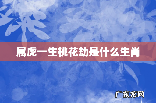 属虎一生桃花劫是什么生肖