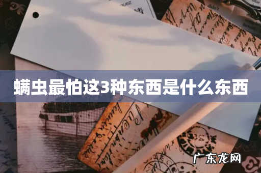 螨虫最怕这3种东西是什么东西