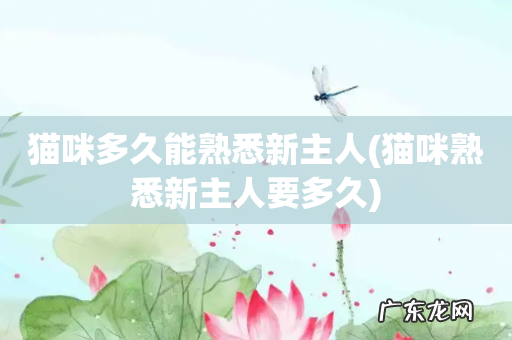 猫咪熟悉新主人要多久 猫咪多久能熟悉新主人