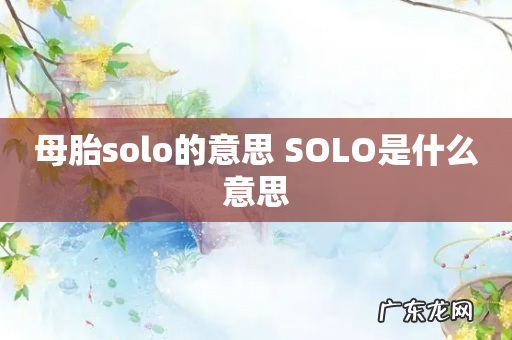 母胎solo的意思 SOLO是什么意思
