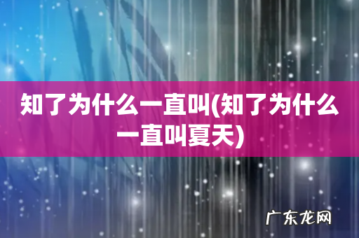 知了为什么一直叫夏天 知了为什么一直叫