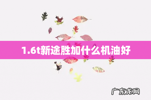 1.6t新途胜加什么机油好