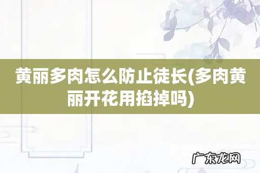 多肉黄丽开花用掐掉吗 黄丽多肉怎么防止徒长