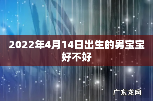 2022年4月14日出生的男宝宝好不好