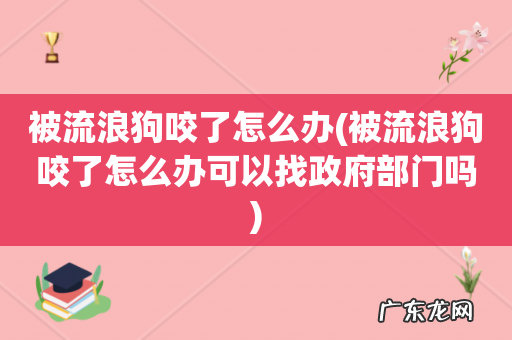 被流浪狗咬了怎么办可以找政府部门吗 被流浪狗咬了怎么办