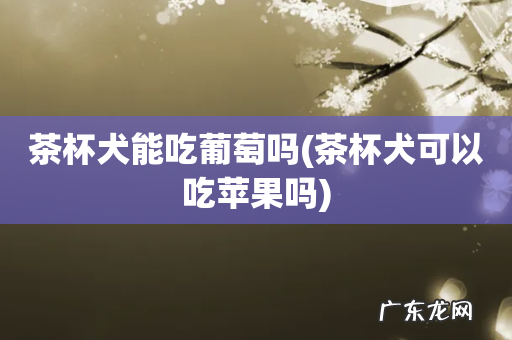 茶杯犬可以吃苹果吗 茶杯犬能吃葡萄吗