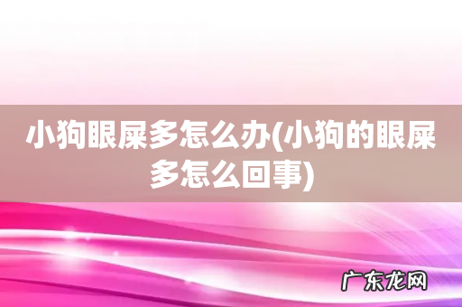 小狗的眼屎多怎么回事 小狗眼屎多怎么办