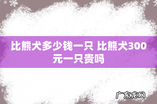 比熊犬多少钱一只 比熊犬300元一只贵吗