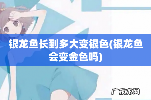 银龙鱼会变金色吗 银龙鱼长到多大变银色