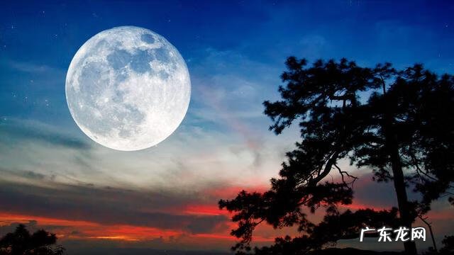 关于月 的诗 描述月的古诗