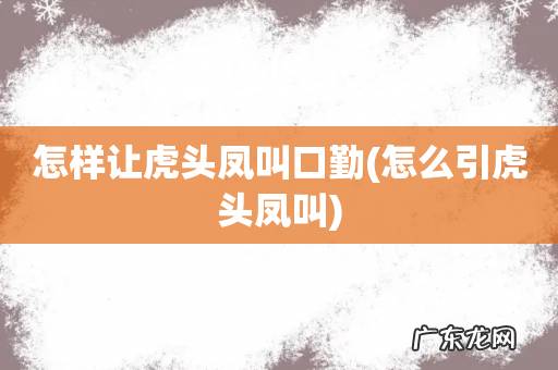 怎么引虎头凤叫 怎样让虎头凤叫口勤