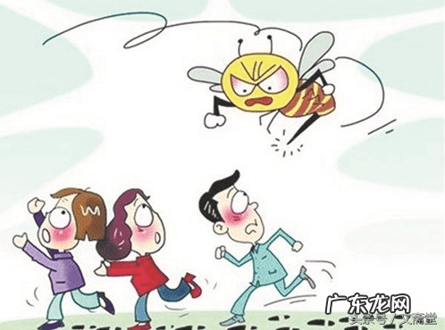 马蜂窝与风水有关系吗 马蜂窝的风水说法