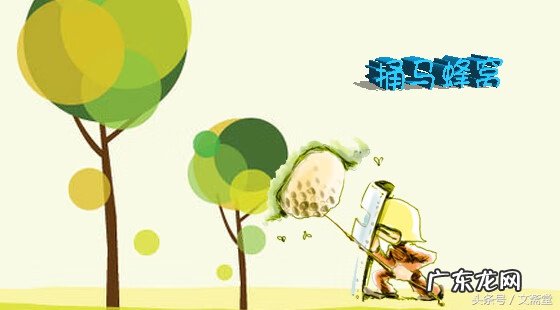 马蜂窝与风水有关系吗 马蜂窝的风水说法