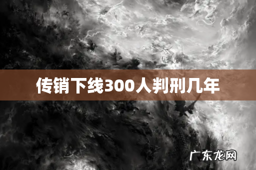 传销下线300人判刑几年