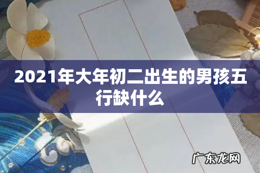 2021年大年初二出生的男孩五行缺什么
