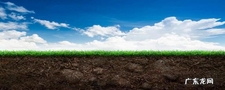 土壤改良有什么技术