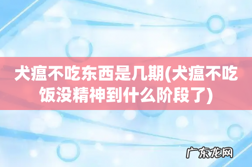 犬瘟不吃饭没精神到什么阶段了 犬瘟不吃东西是几期