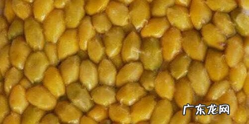 银杏果有什么作用与功效 银杏果的作用是什么