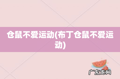 布丁仓鼠不爱运动 仓鼠不爱运动
