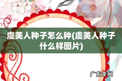 虞美人种子什么样图片 虞美人种子怎么种